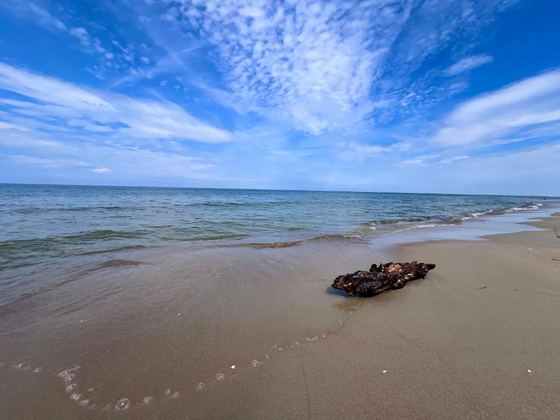 The beach in Sztutowo