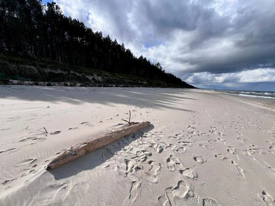 Spacer po plaży